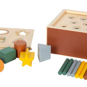 Montessori Shape-Fitting Game