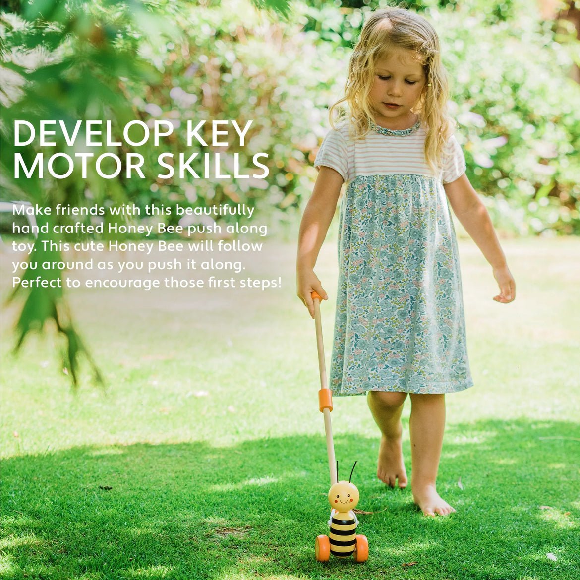 Push Along Honey Bee - Image 5